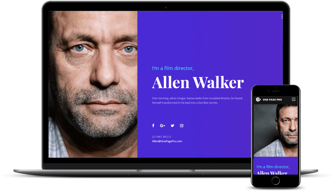 Curated List 10 Best One Page WordPress Themes in 2023