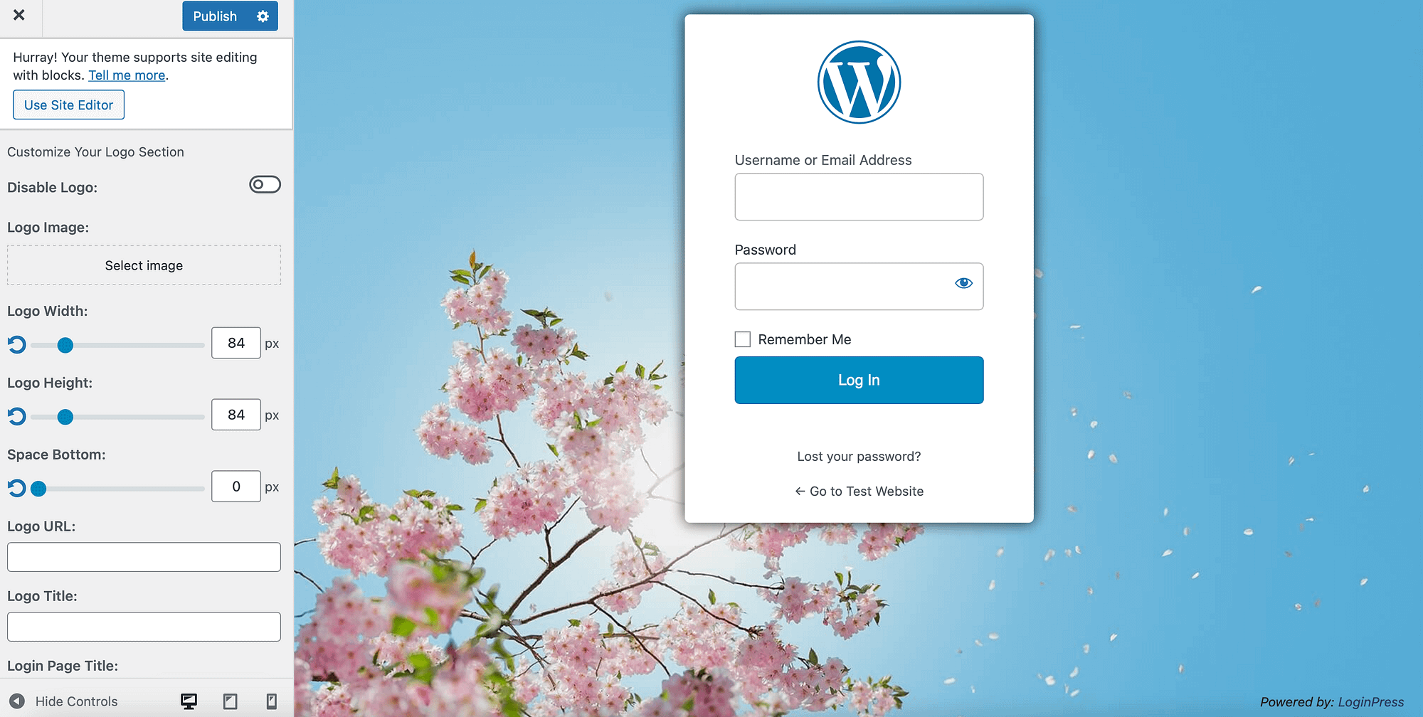 Add a Custom Logo to the WordPress Login Page