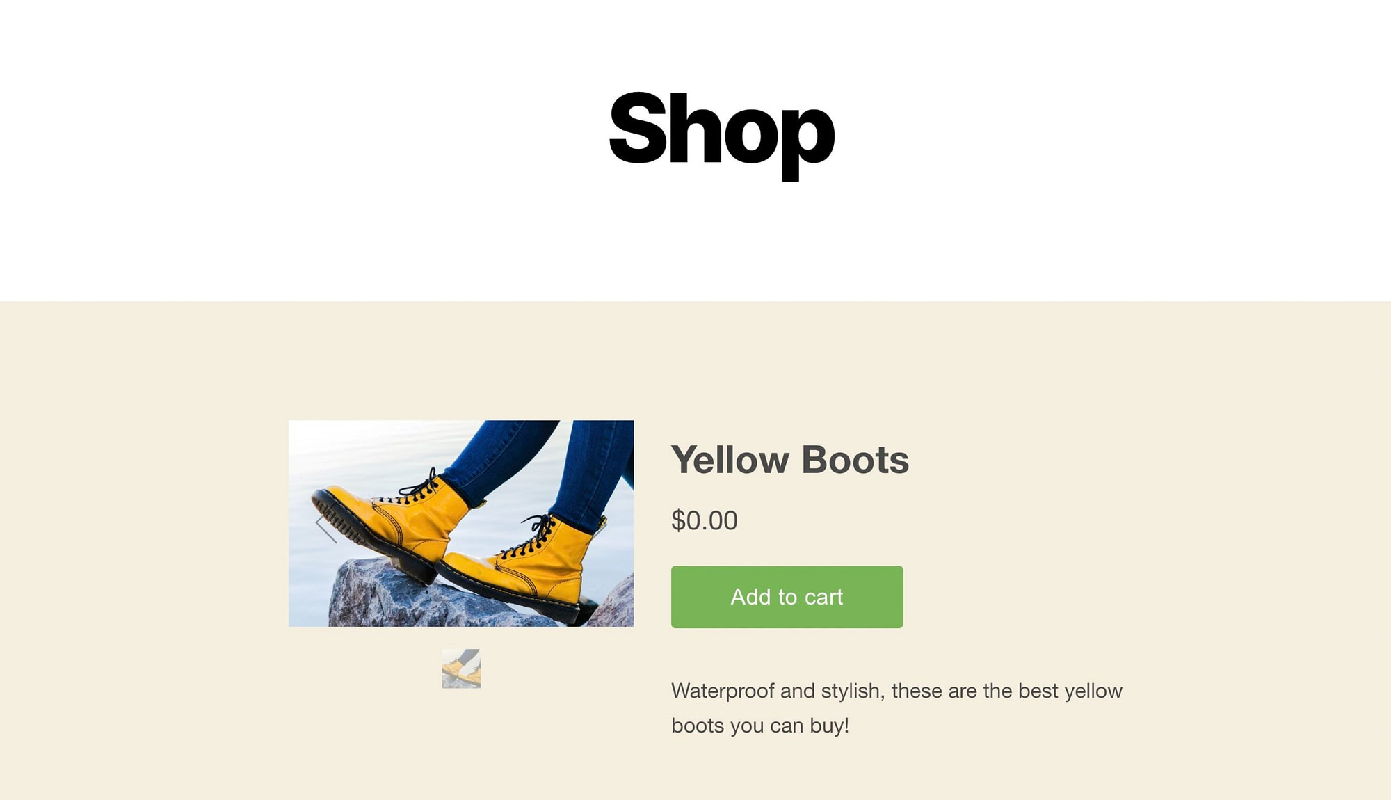 preview of the Shopify WordPress integration 