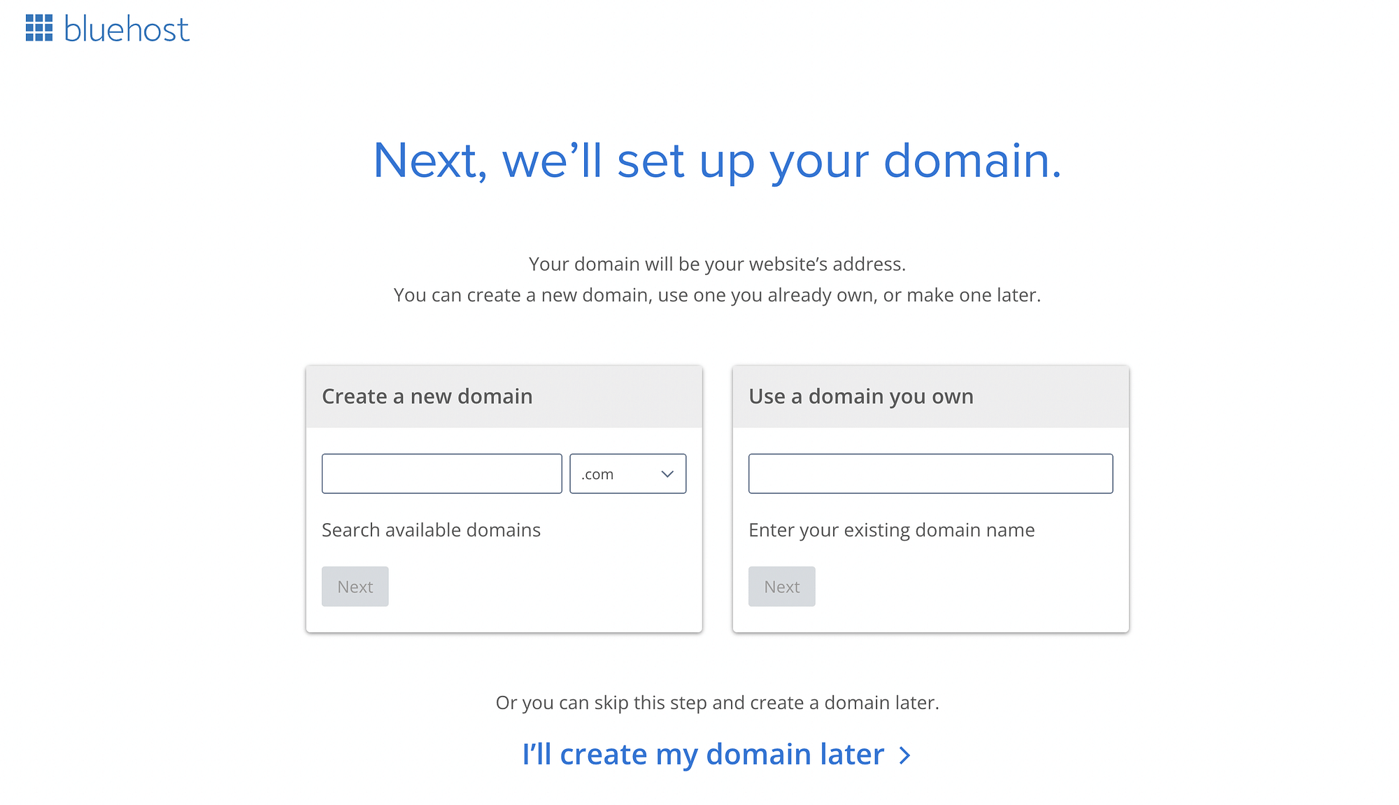 Bluehost domain name