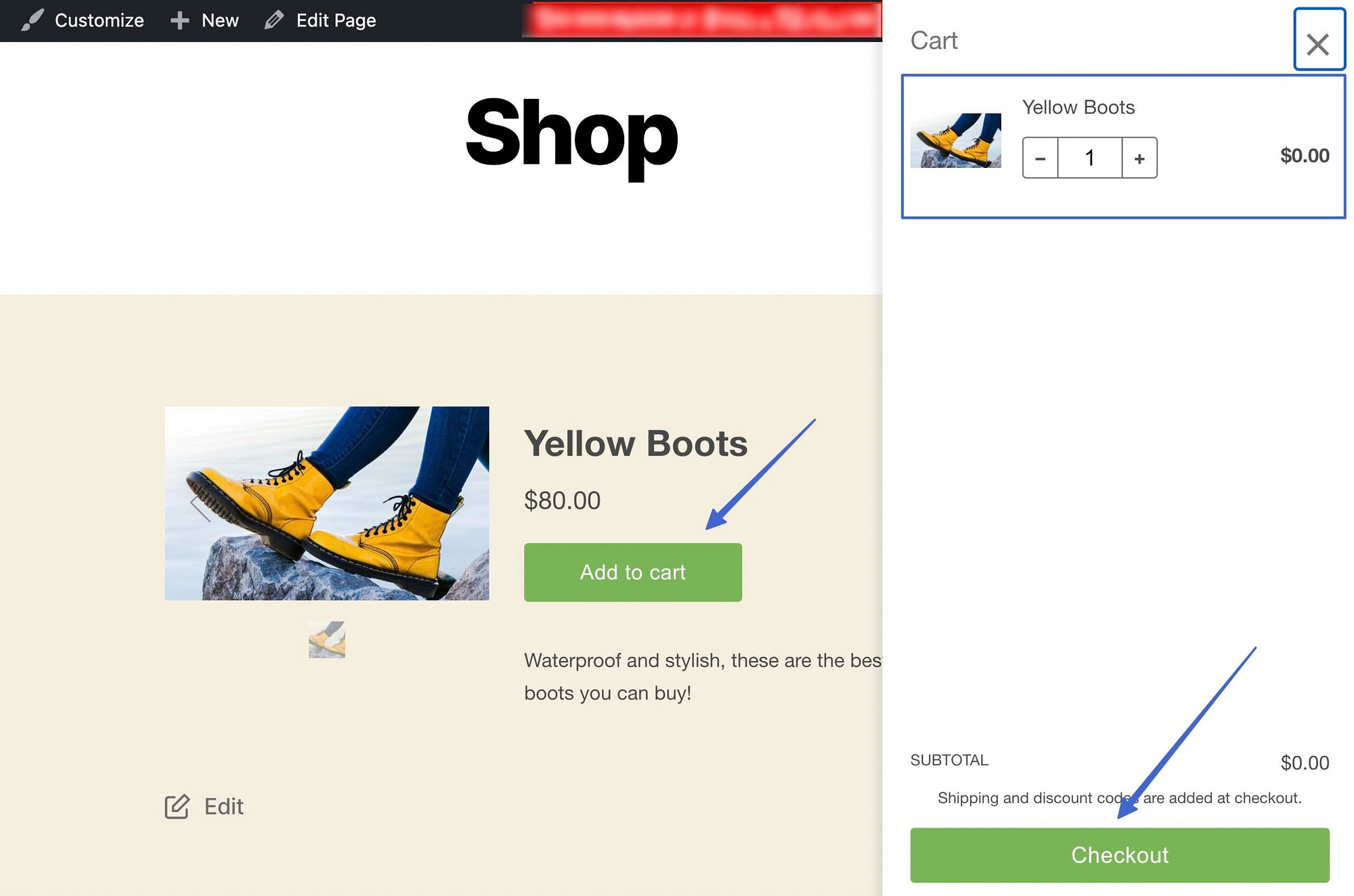 clicking through the checkout for the Shopify WordPress integration 