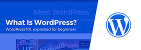 What Is WordPress & What Is It Used‎ For? Beginner’s Guide