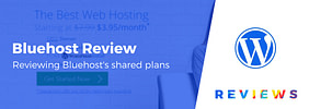 Bluehost Review for WordPress: Based on Real Tests and Survey Data