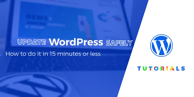 Update WordPress Safely Featured Image