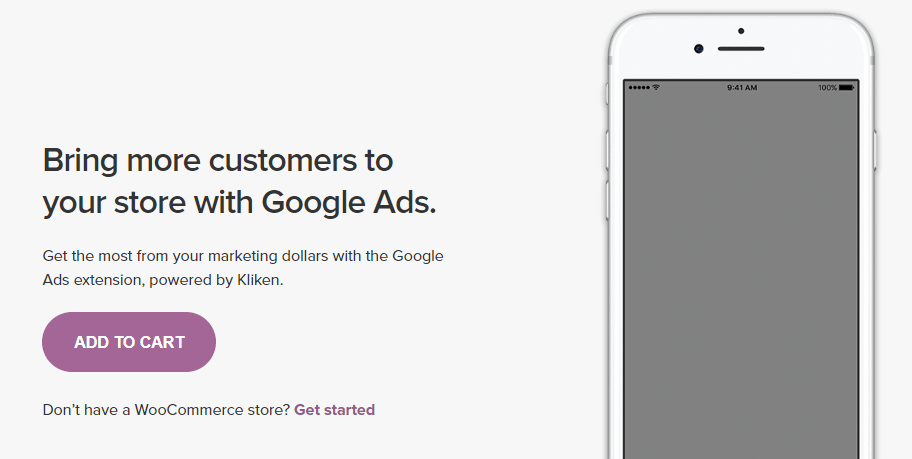 The Google Ads for WooCommerce extension.