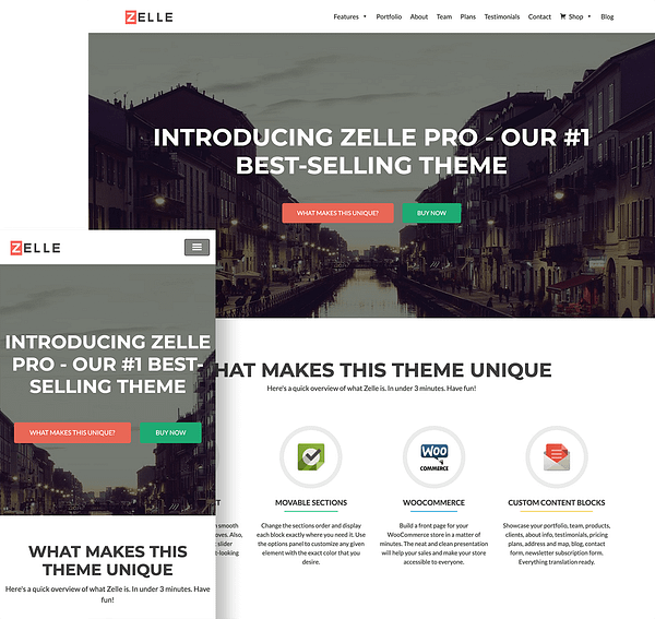 zelle-pro-wordpress-theme-full-screen