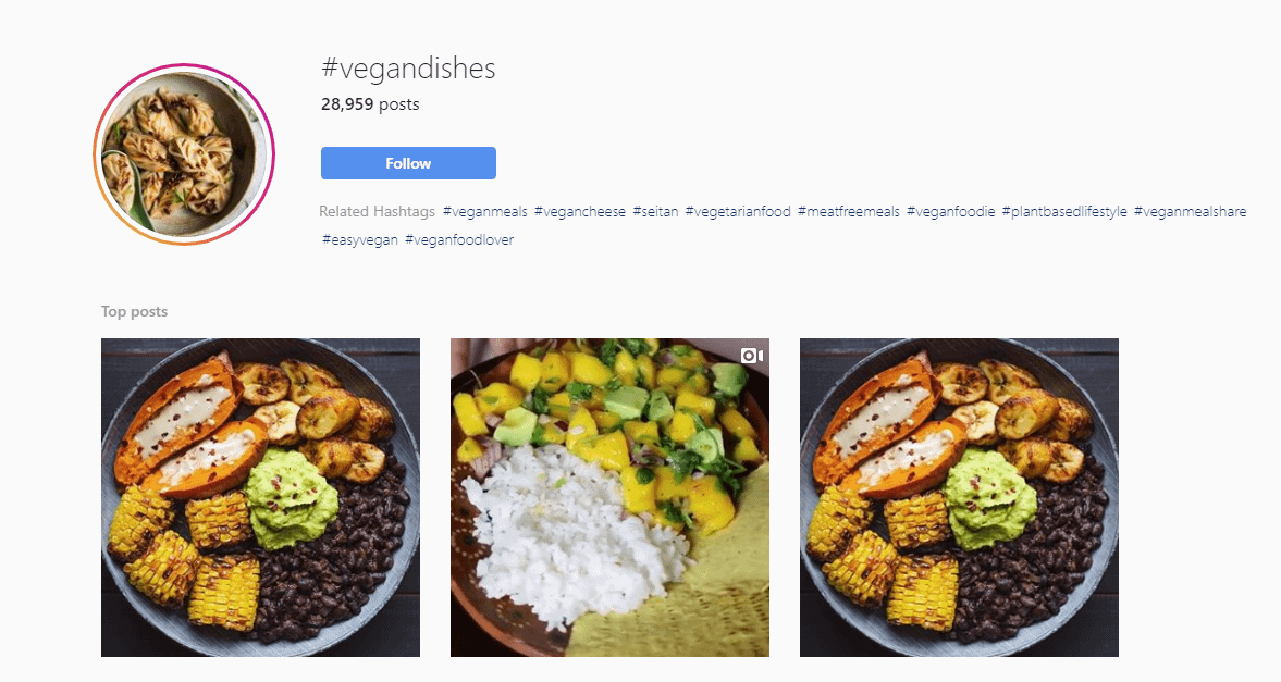 Vegan Blogger Instagram account