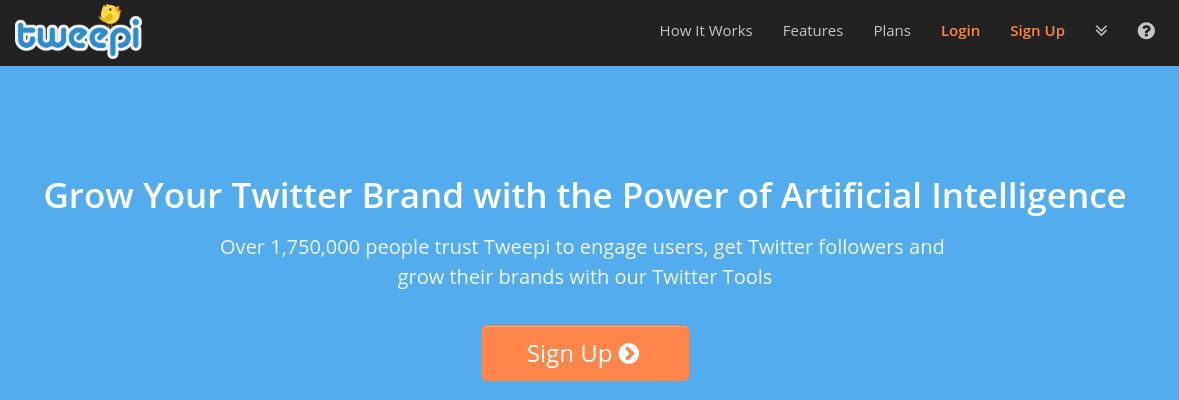 The Tweepi homepage.