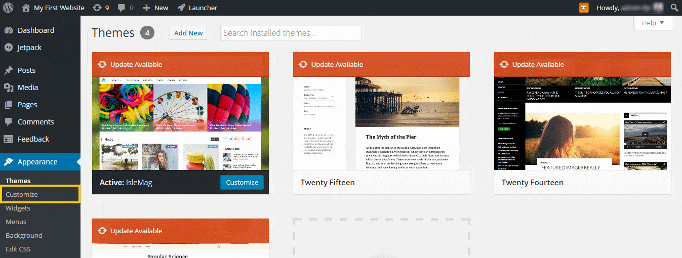 Using the WordPress Customizer