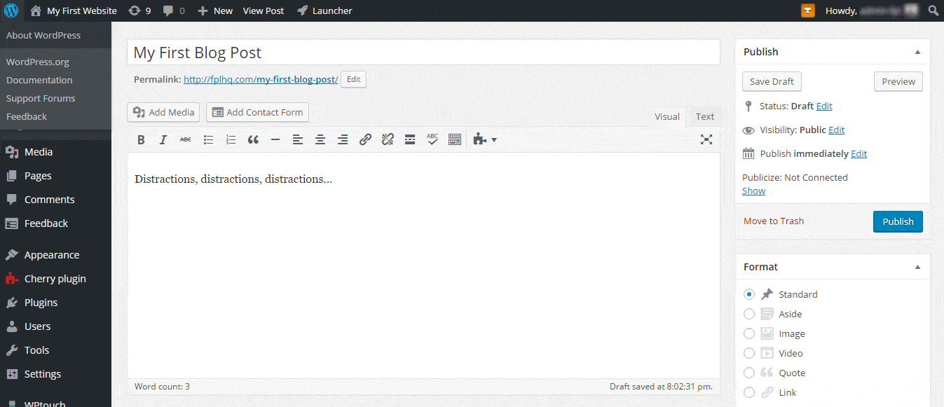 WordPress distraction-free writing mode among the top core WordPress features