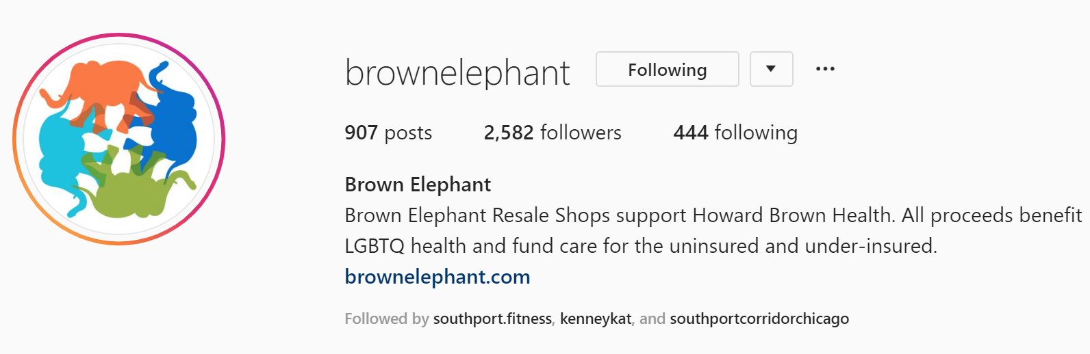 brown elephant - best Instagram bio