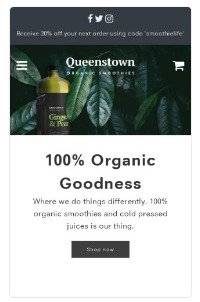 Shopify Flow theme mobile design