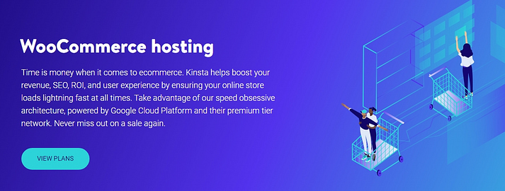 The Kinsta website.