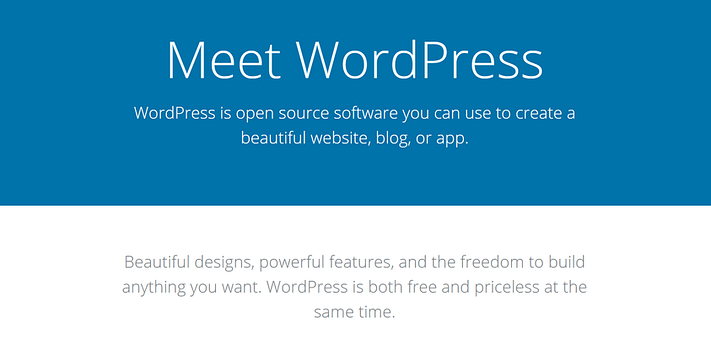WordPress web sitesi.