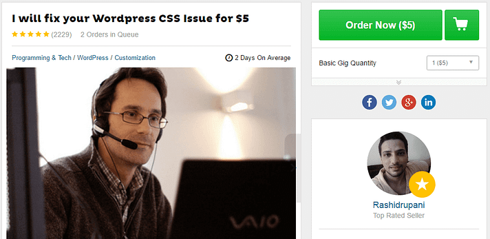 An example of a WordPress CSS customization gig.