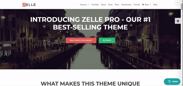zerif pro