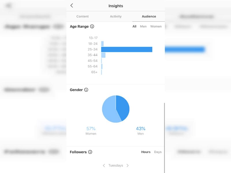 Audience demographic information on Instagram Insights.
