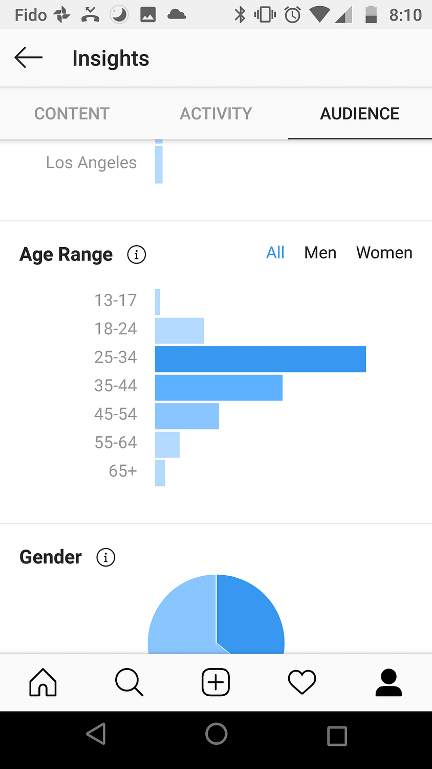 Instagram Audience - Insights "Audience" tab