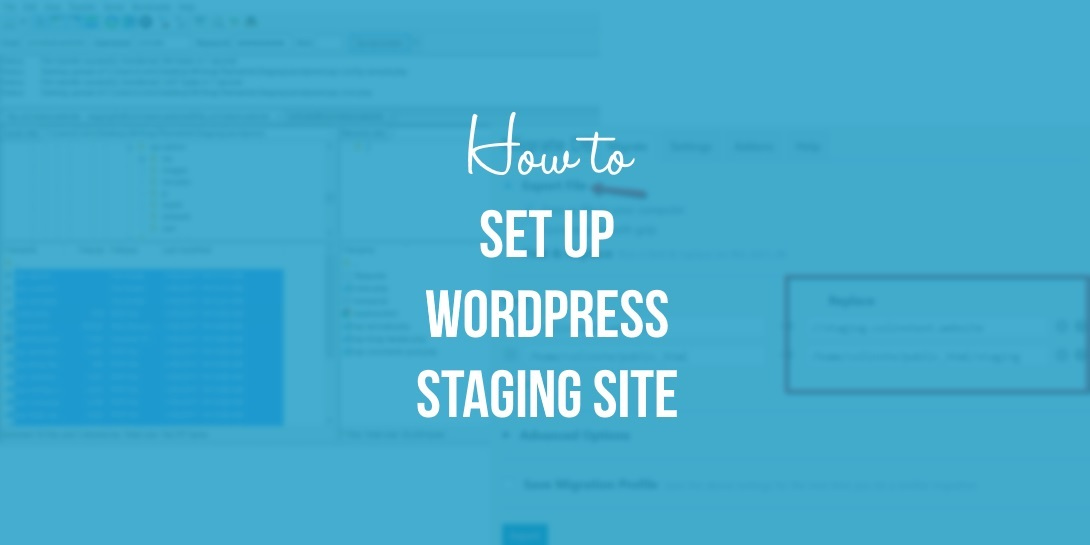 Beginner S Guide How To Set Up A Wordpress Staging Site Images, Photos, Reviews