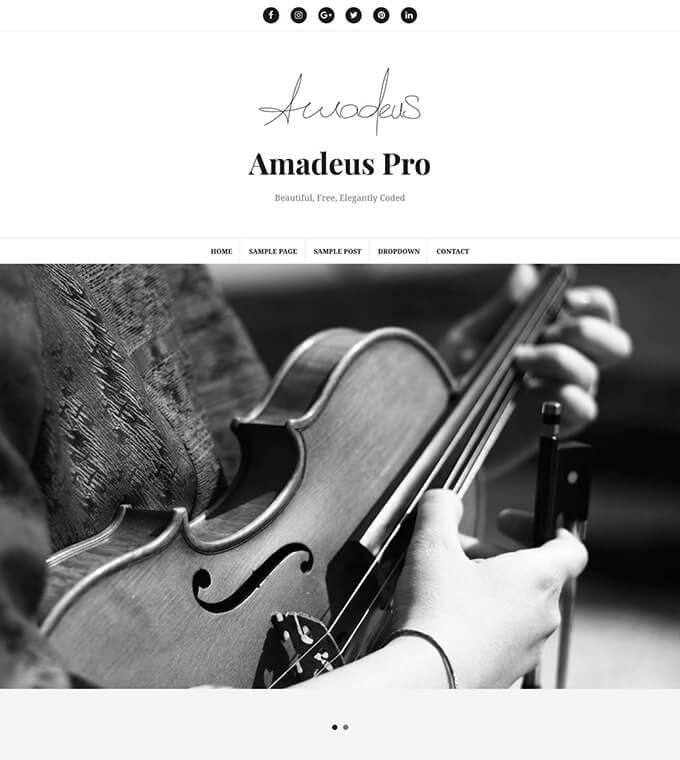 amadeus pro wordpress themes