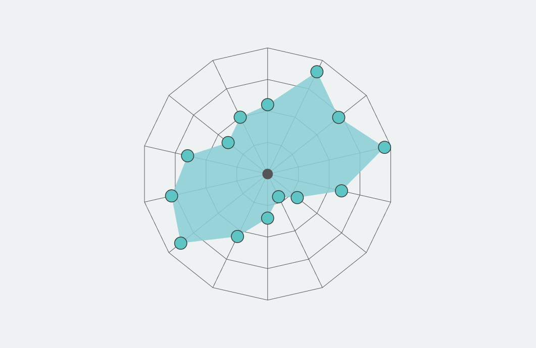 Radar Spider Chart - Visualizer Demo